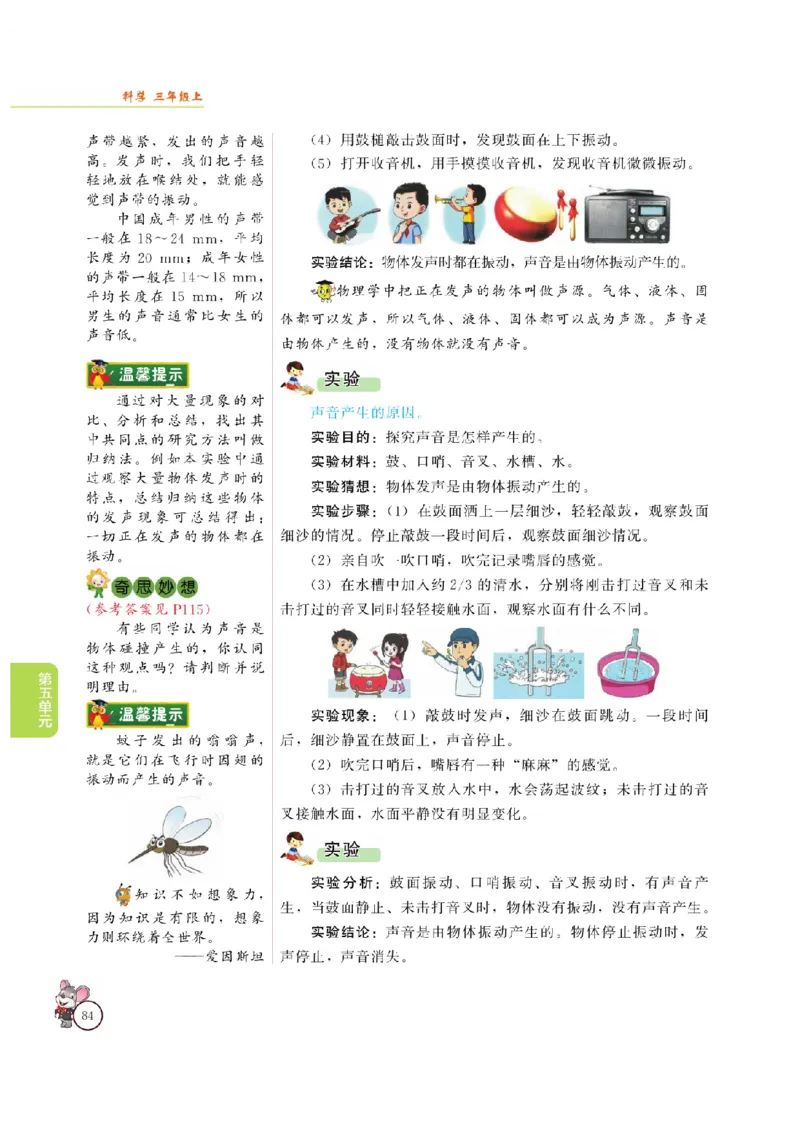 《教材解读》科学3年级上册（大象版）_三年级上下册资料_小学三年级学习资料-25年更新版_3-09、小学三年级科学上册_大象版