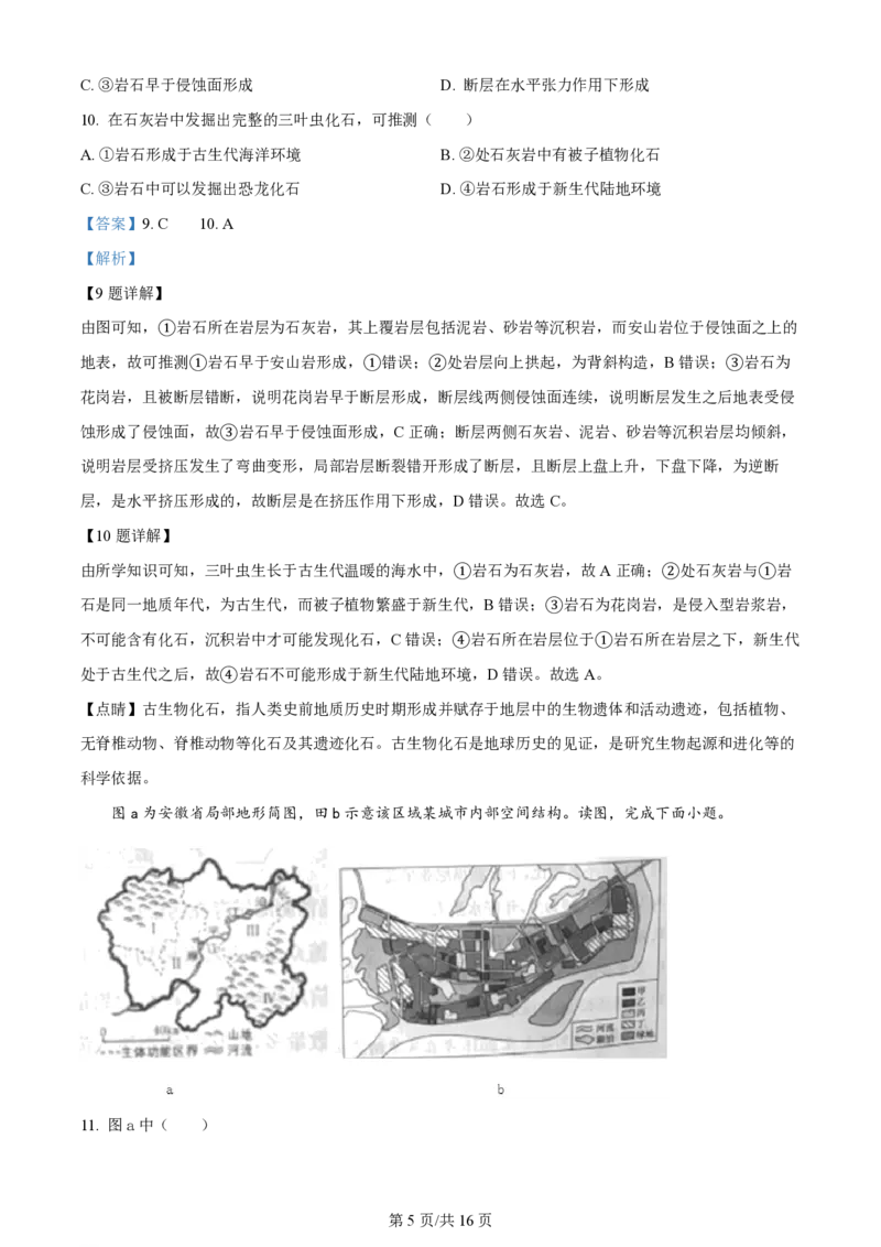 2024年高考地理试卷（北京）（解析卷）_地理历年高考真题_新&middot;PDF版2008-2025&middot;高考地理真题_地理（按年份分类）2008-2025_2024&middot;地理高考真题