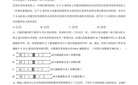 2025年高考生物试卷（安徽卷）（空白卷）_生物历年高考真题_新&middot;PDF版2008-2025&middot;高考生物真题_生物（按年份分类）2008-2025_2025&middot;高考生物真题