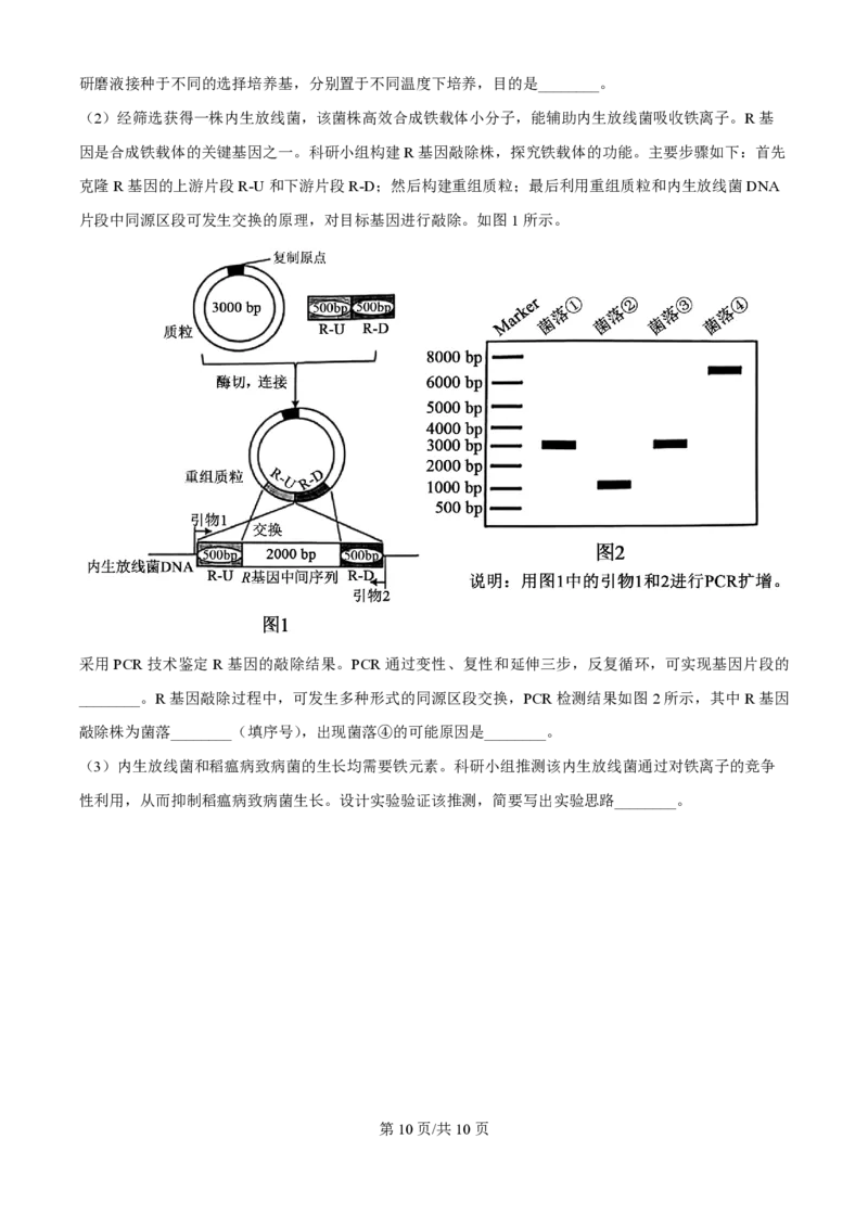 2025年高考生物试卷（安徽卷）（空白卷）_生物历年高考真题_新&middot;PDF版2008-2025&middot;高考生物真题_生物（按年份分类）2008-2025_2025&middot;高考生物真题