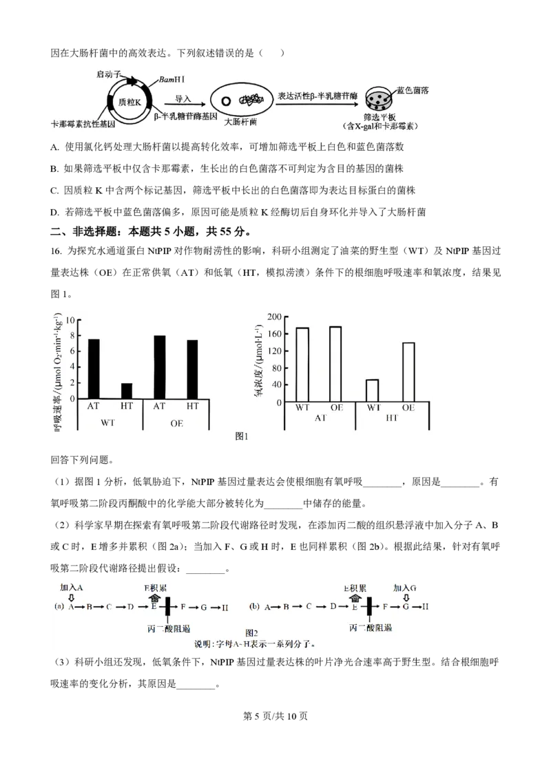 2025年高考生物试卷（安徽卷）（空白卷）_生物历年高考真题_新&middot;PDF版2008-2025&middot;高考生物真题_生物（按年份分类）2008-2025_2025&middot;高考生物真题