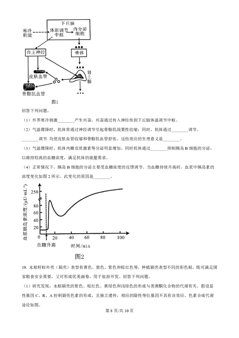 2025年高考生物试卷（安徽卷）（空白卷）_生物历年高考真题_新&middot;PDF版2008-2025&middot;高考生物真题_生物（按年份分类）2008-2025_2025&middot;高考生物真题