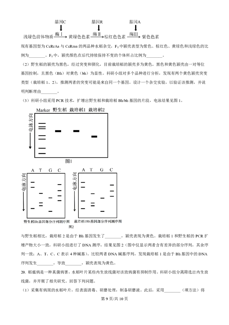 2025年高考生物试卷（安徽卷）（空白卷）_生物历年高考真题_新&middot;PDF版2008-2025&middot;高考生物真题_生物（按年份分类）2008-2025_2025&middot;高考生物真题