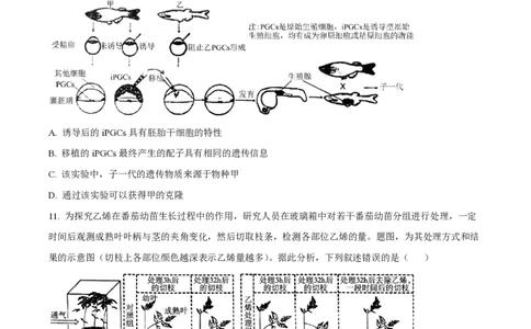 2024年高考生物试卷（重庆）（空白卷）_生物历年高考真题_新&middot;PDF版2008-2025&middot;高考生物真题_生物（按年份分类）2008-2025_2024&middot;高考生物真题