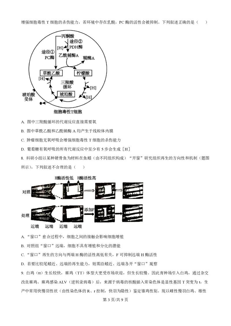 2024年高考生物试卷（重庆）（空白卷）_生物历年高考真题_新&middot;PDF版2008-2025&middot;高考生物真题_生物（按年份分类）2008-2025_2024&middot;高考生物真题
