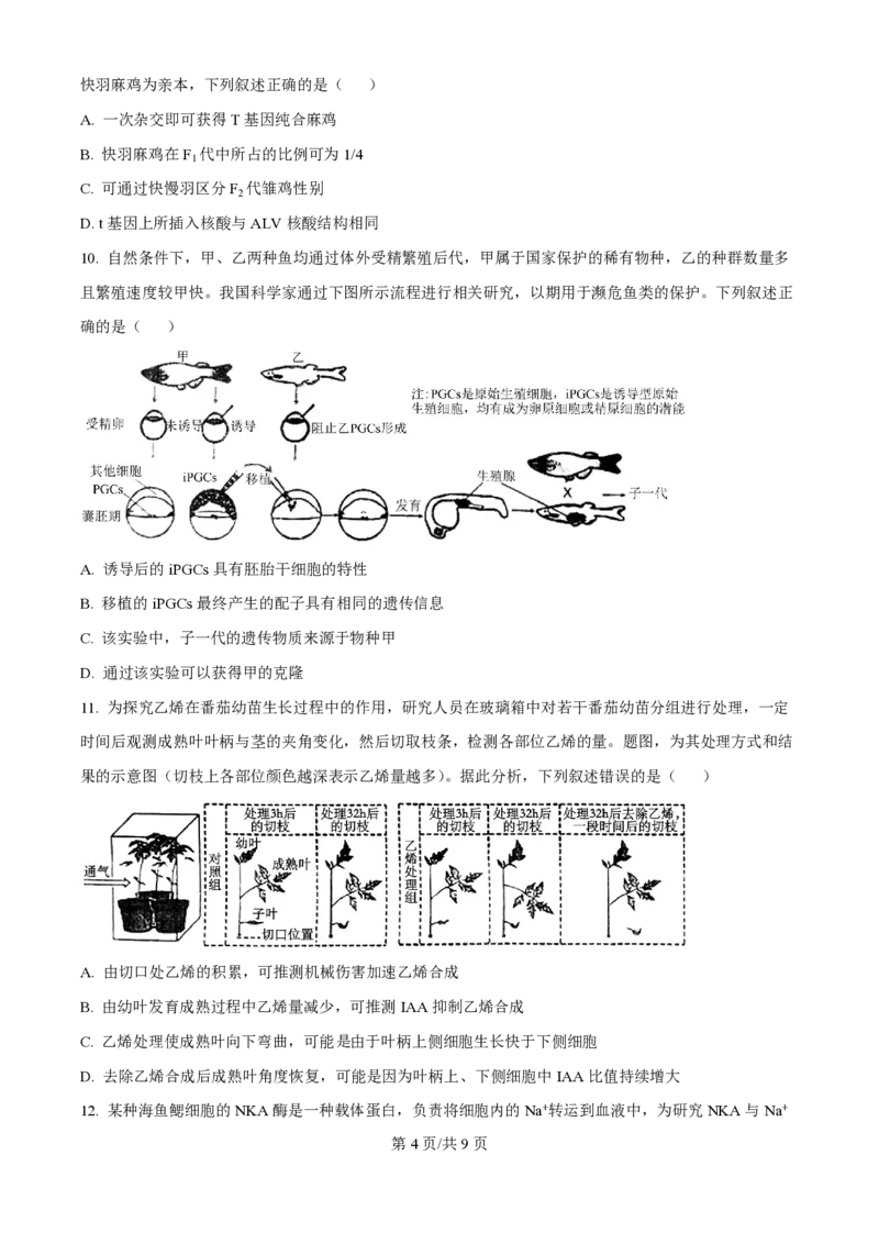 2024年高考生物试卷（重庆）（空白卷）_生物历年高考真题_新&middot;PDF版2008-2025&middot;高考生物真题_生物（按年份分类）2008-2025_2024&middot;高考生物真题
