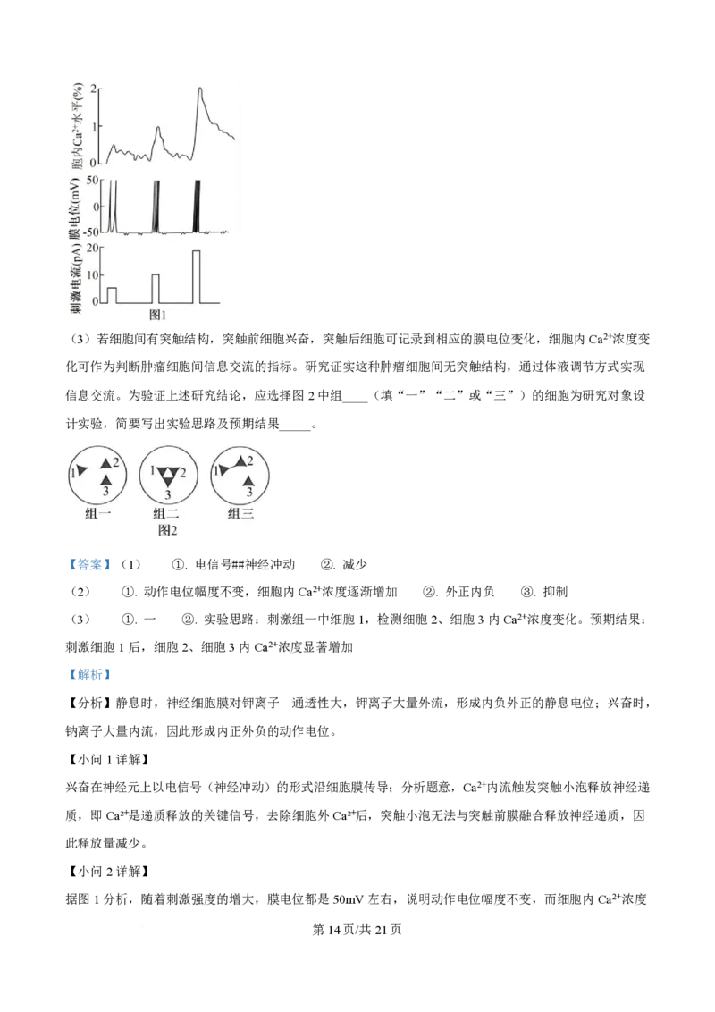 2025年高考生物试卷（河南卷）（解析卷）_生物历年高考真题_新&middot;PDF版2008-2025&middot;高考生物真题_生物（按年份分类）2008-2025_2025&middot;高考生物真题