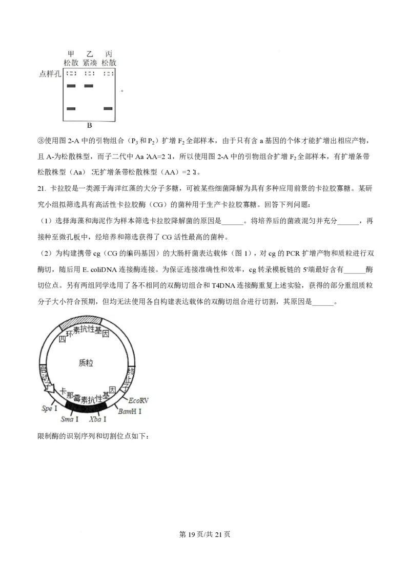 2025年高考生物试卷（河南卷）（解析卷）_生物历年高考真题_新&middot;PDF版2008-2025&middot;高考生物真题_生物（按年份分类）2008-2025_2025&middot;高考生物真题