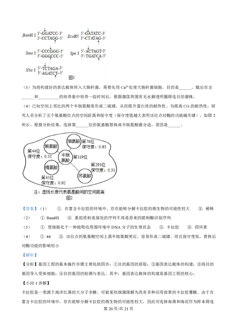2025年高考生物试卷（河南卷）（解析卷）_生物历年高考真题_新&middot;PDF版2008-2025&middot;高考生物真题_生物（按年份分类）2008-2025_2025&middot;高考生物真题