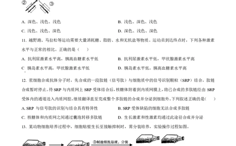 2024年高考生物试卷（浙江）（1月）（空白卷）_生物历年高考真题_新&middot;PDF版2008-2025&middot;高考生物真题_生物（按年份分类）2008-2025_2024&middot;高考生物真题