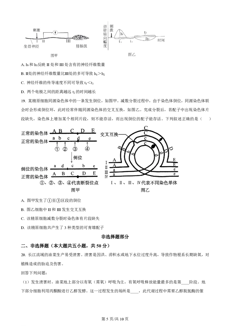 2024年高考生物试卷（浙江）（1月）（空白卷）_生物历年高考真题_新&middot;PDF版2008-2025&middot;高考生物真题_生物（按年份分类）2008-2025_2024&middot;高考生物真题