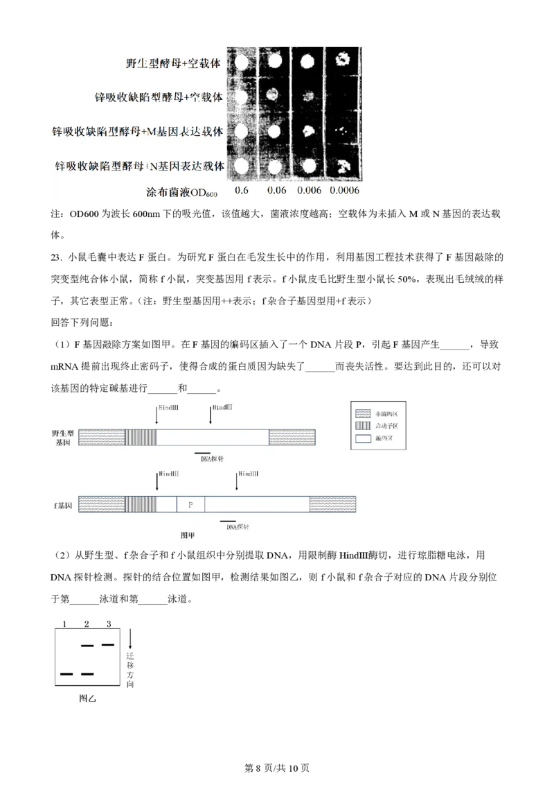2024年高考生物试卷（浙江）（1月）（空白卷）_生物历年高考真题_新&middot;PDF版2008-2025&middot;高考生物真题_生物（按年份分类）2008-2025_2024&middot;高考生物真题