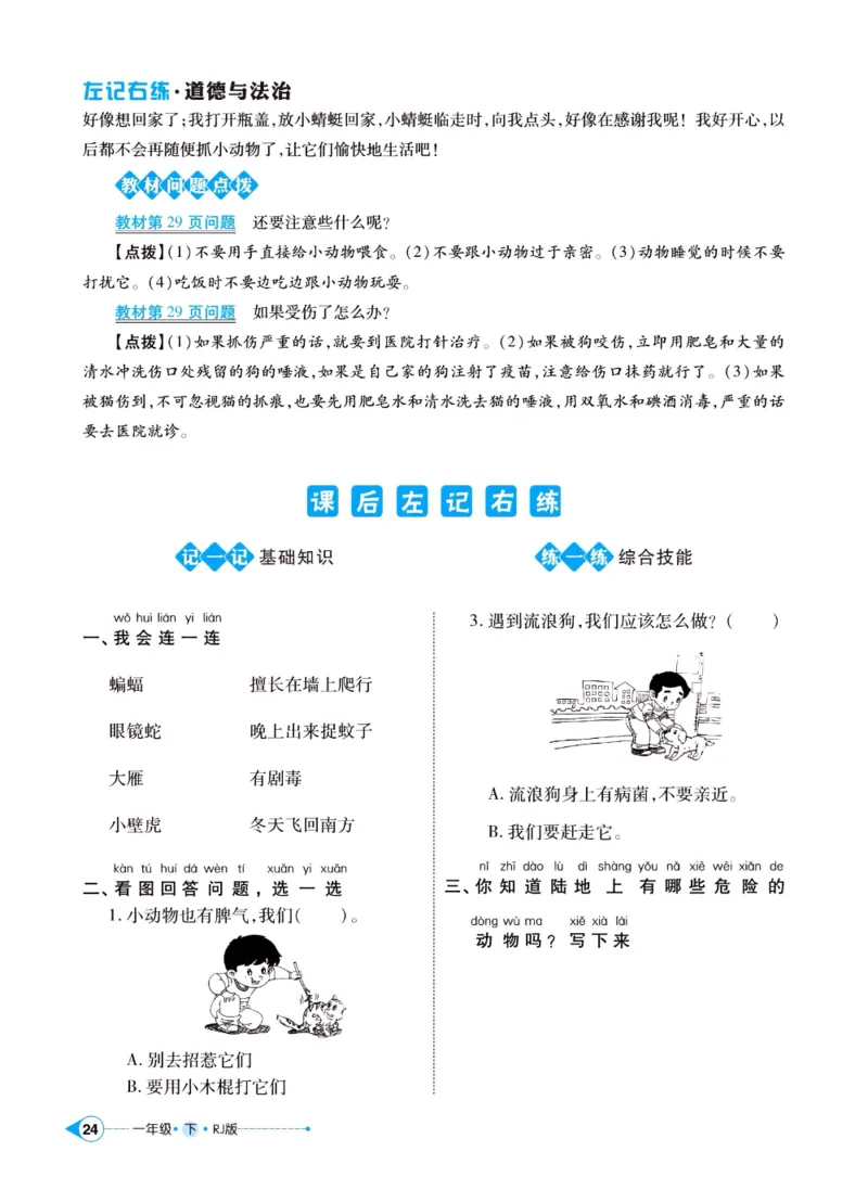 《左记右练》一年级下册道德与法治人教版_一年级上下册资料_小学一年级学习资料-25年更新版_1-08、小学一年级道德与法治下册_电子册类