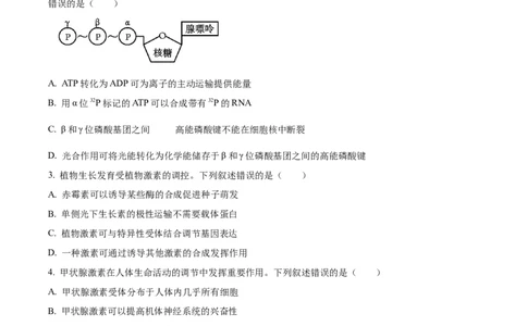 2024年高考生物试卷（全国甲卷）（空白卷）_生物历年高考真题_新&middot;Word版2008-2025&middot;高考生物真题_生物（按年份分类）2008-2025_2024&middot;高考生物真题