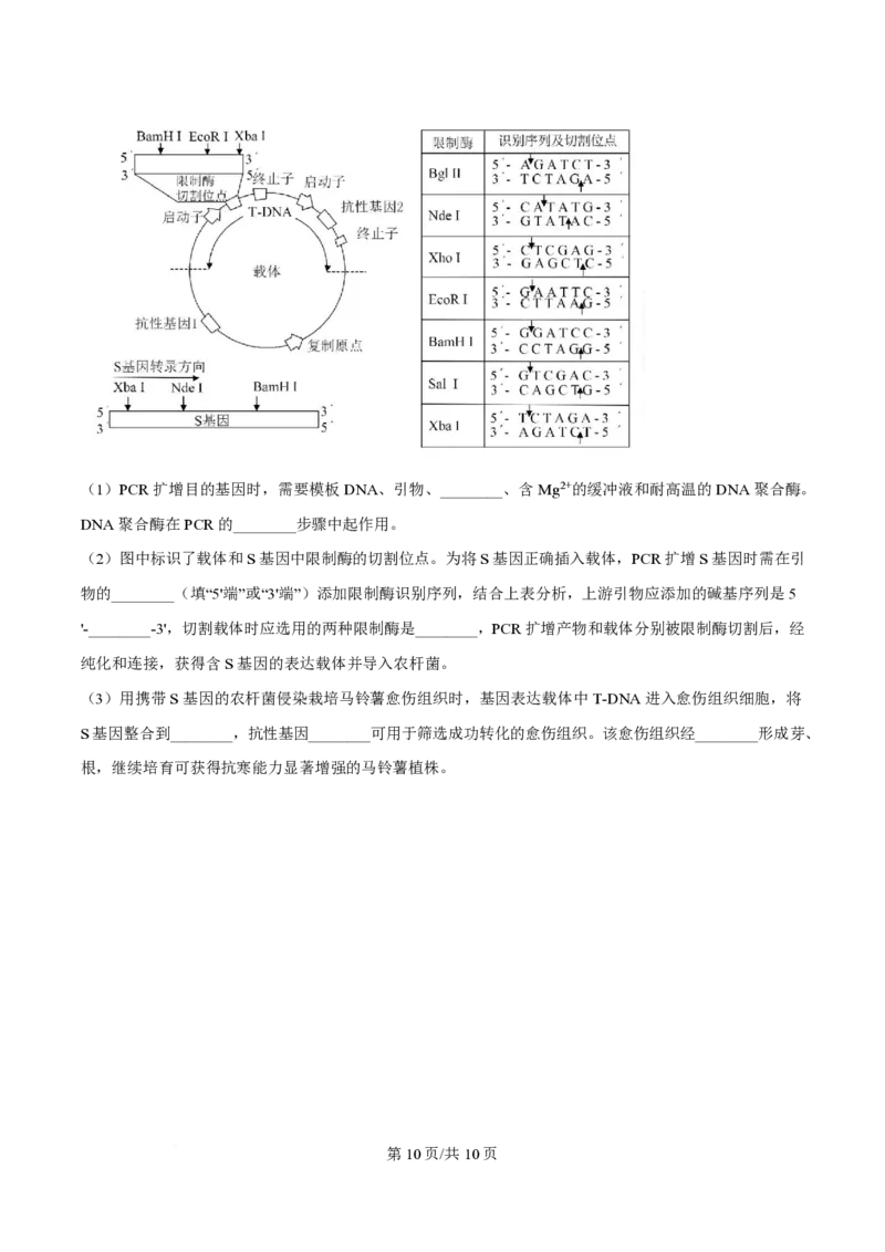 2025年高考生物试卷（陕晋青宁卷）（空白卷）_生物历年高考真题_新&middot;PDF版2008-2025&middot;高考生物真题_生物（按年份分类）2008-2025_2025&middot;高考生物真题