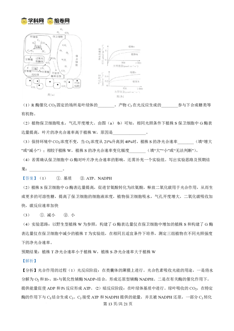 2025年高考生物试卷（陕晋青宁卷）（解析卷）_生物历年高考真题_新&middot;PDF版2008-2025&middot;高考生物真题_生物（按年份分类）2008-2025_2025&middot;高考生物真题