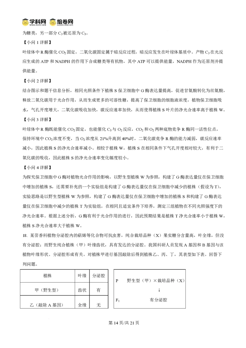 2025年高考生物试卷（陕晋青宁卷）（解析卷）_生物历年高考真题_新&middot;PDF版2008-2025&middot;高考生物真题_生物（按年份分类）2008-2025_2025&middot;高考生物真题