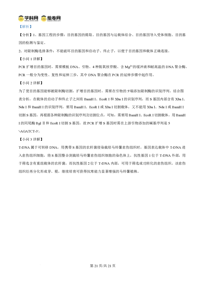 2025年高考生物试卷（陕晋青宁卷）（解析卷）_生物历年高考真题_新&middot;PDF版2008-2025&middot;高考生物真题_生物（按年份分类）2008-2025_2025&middot;高考生物真题