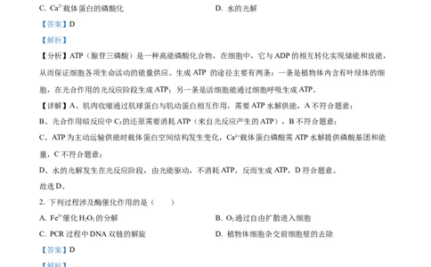 2025年高考生物试卷（河北卷）（解析卷）_生物历年高考真题_新&middot;Word版2008-2025&middot;高考生物真题_生物（按年份分类）2008-2025_2025&middot;高考生物真题
