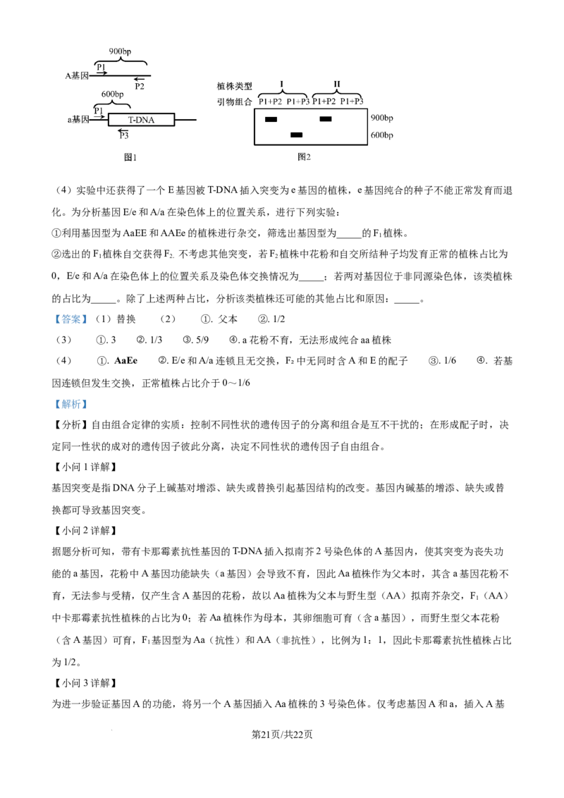 2025年高考生物试卷（河北卷）（解析卷）_生物历年高考真题_新&middot;Word版2008-2025&middot;高考生物真题_生物（按年份分类）2008-2025_2025&middot;高考生物真题