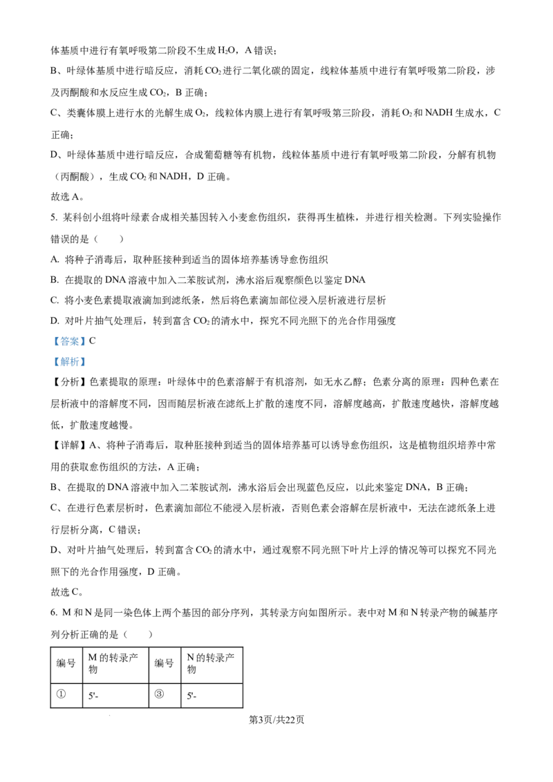 2025年高考生物试卷（河北卷）（解析卷）_生物历年高考真题_新&middot;Word版2008-2025&middot;高考生物真题_生物（按年份分类）2008-2025_2025&middot;高考生物真题