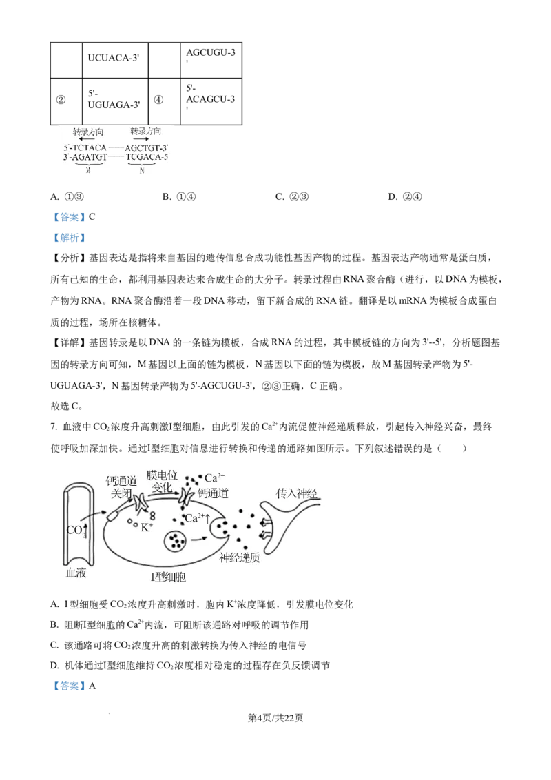 2025年高考生物试卷（河北卷）（解析卷）_生物历年高考真题_新&middot;Word版2008-2025&middot;高考生物真题_生物（按年份分类）2008-2025_2025&middot;高考生物真题