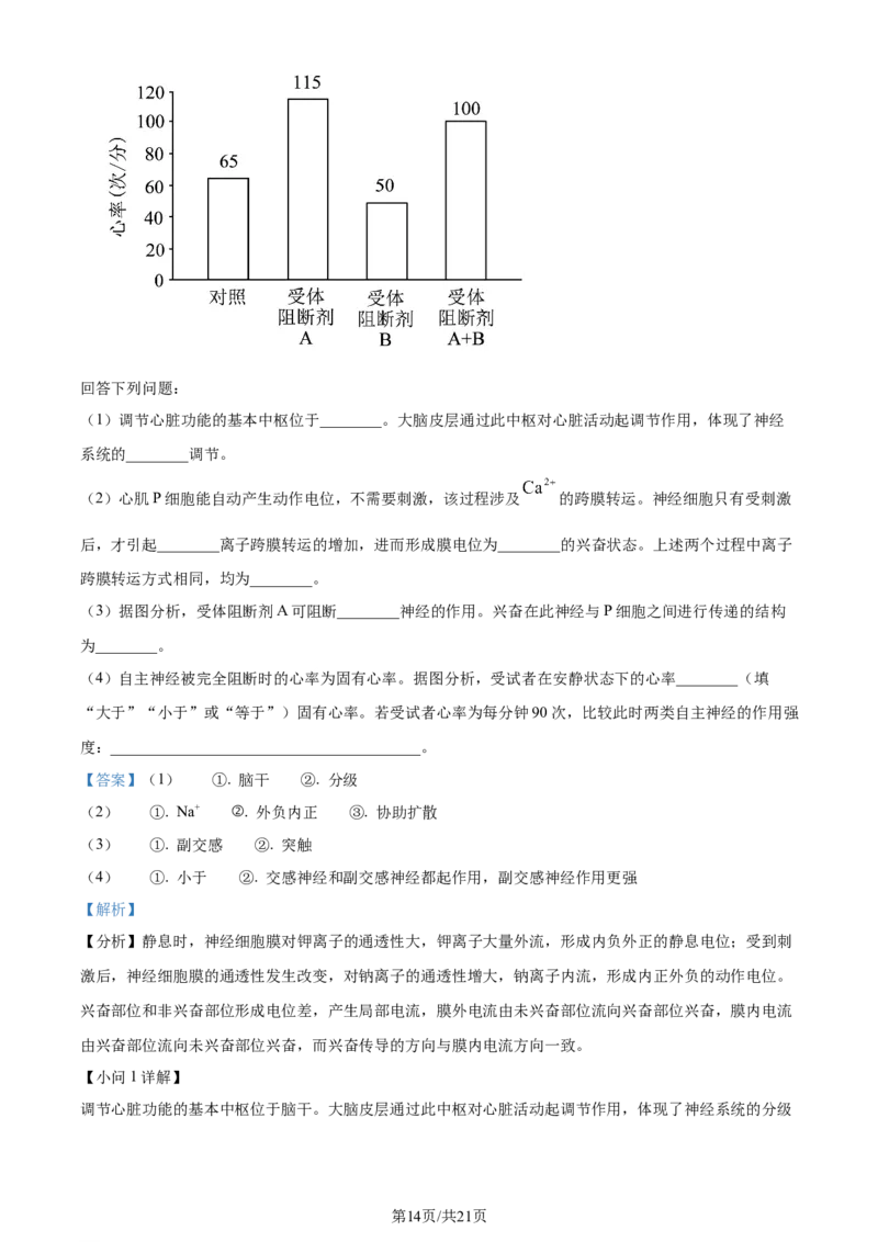 2024年高考生物试卷（河北）（解析卷）_生物历年高考真题_新&middot;Word版2008-2025&middot;高考生物真题_生物（按年份分类）2008-2025_2024&middot;高考生物真题