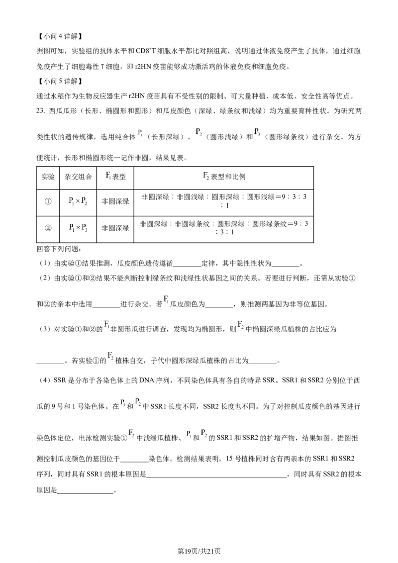 2024年高考生物试卷（河北）（解析卷）_生物历年高考真题_新&middot;Word版2008-2025&middot;高考生物真题_生物（按年份分类）2008-2025_2024&middot;高考生物真题