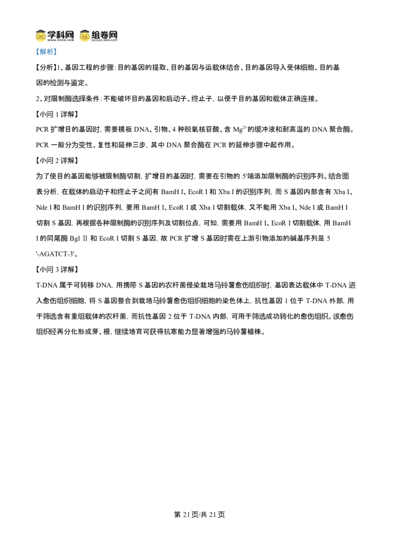 2025年高考生物试卷（陕晋青宁卷）（解析卷）_生物历年高考真题_新&middot;Word版2008-2025&middot;高考生物真题_生物（按年份分类）2008-2025_2025&middot;高考生物真题