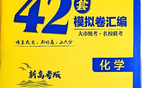2025版高考必刷卷化学新高考版_2025高中教辅（后续还会更新新习题试卷）_《2025高考必刷卷》_化学