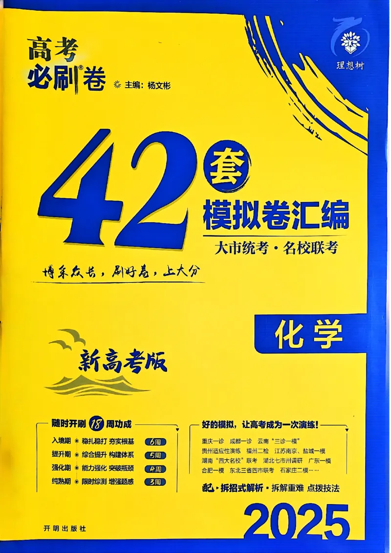 2025版高考必刷卷化学新高考版_2025高中教辅（后续还会更新新习题试卷）_《2025高考必刷卷》_化学