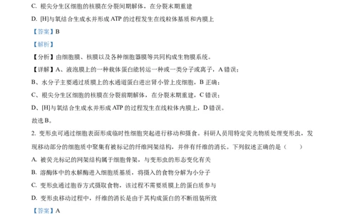 2024年高考生物试卷（安徽）（解析卷）_生物历年高考真题_新&middot;Word版2008-2025&middot;高考生物真题_生物（按年份分类）2008-2025_2024&middot;高考生物真题