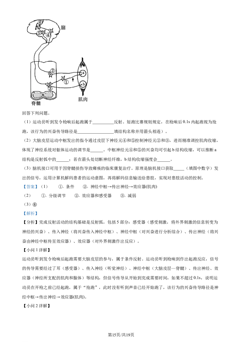 2024年高考生物试卷（安徽）（解析卷）_生物历年高考真题_新&middot;Word版2008-2025&middot;高考生物真题_生物（按年份分类）2008-2025_2024&middot;高考生物真题