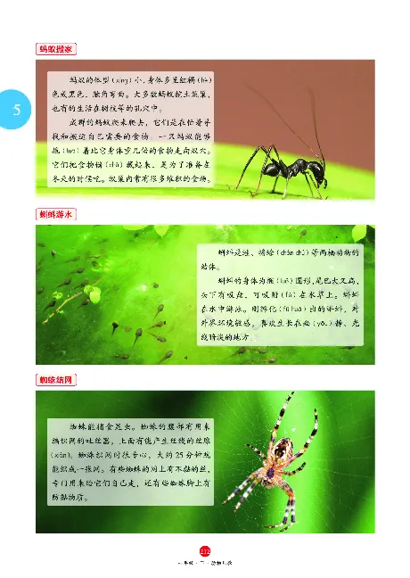 1年级语文绘本-A2-六三版_一年级语文下册（统编版）_老课标资料_一下语文含教学视频_第一套_010-绘本课堂PDF可下载打印