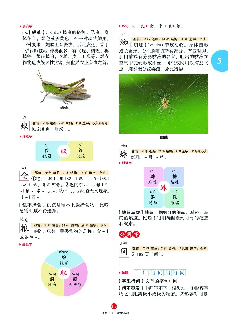 1年级语文绘本-A2-六三版_一年级语文下册（统编版）_老课标资料_一下语文含教学视频_第一套_010-绘本课堂PDF可下载打印