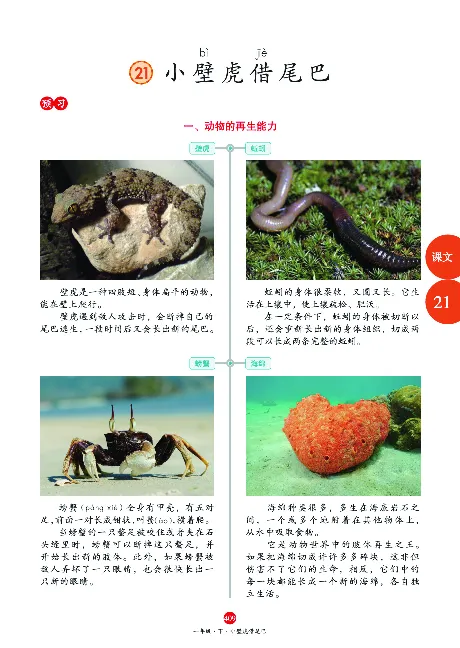 1年级语文绘本-A2-六三版_一年级语文下册（统编版）_老课标资料_一下语文含教学视频_第一套_010-绘本课堂PDF可下载打印