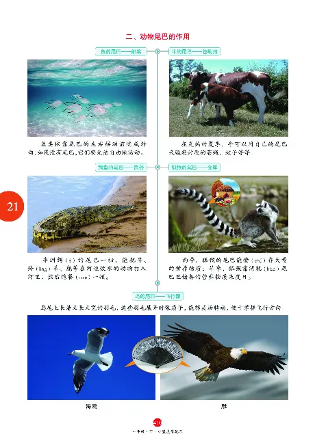 1年级语文绘本-A2-六三版_一年级语文下册（统编版）_老课标资料_一下语文含教学视频_第一套_010-绘本课堂PDF可下载打印