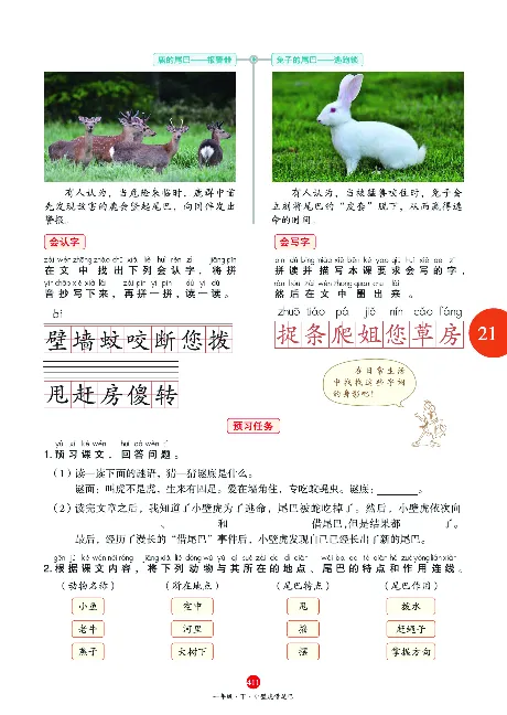 1年级语文绘本-A2-六三版_一年级语文下册（统编版）_老课标资料_一下语文含教学视频_第一套_010-绘本课堂PDF可下载打印