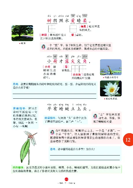 1年级语文绘本-A2-六三版_一年级语文下册（统编版）_老课标资料_一下语文含教学视频_第一套_010-绘本课堂PDF可下载打印