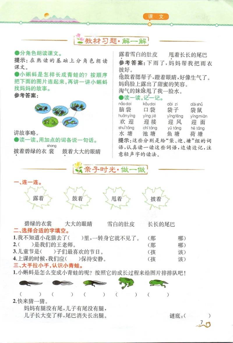 《教材解读》部编版语文2年级上册_二年级上下册资料_小学二年级学习资料-25年更新版_2-01、小学二年级语文上册_2-1-1、复习、知识点、归纳汇总_语文二（上）教材讲解+预习单