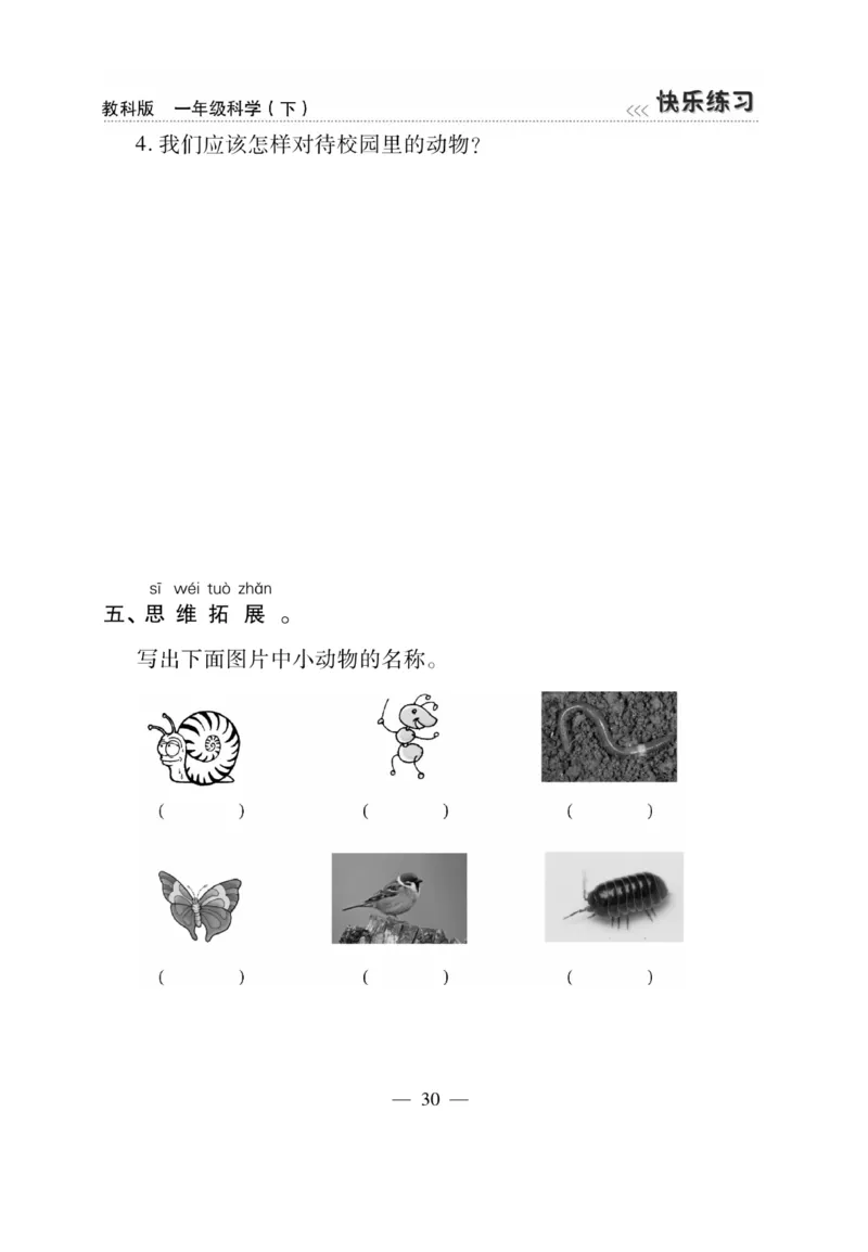 《快乐练习》科学1年级下册（教科版）_一年级上下册资料_小学一年级学习资料-25年更新版_1-10、小学一年级科学下册_教科版_电子册类