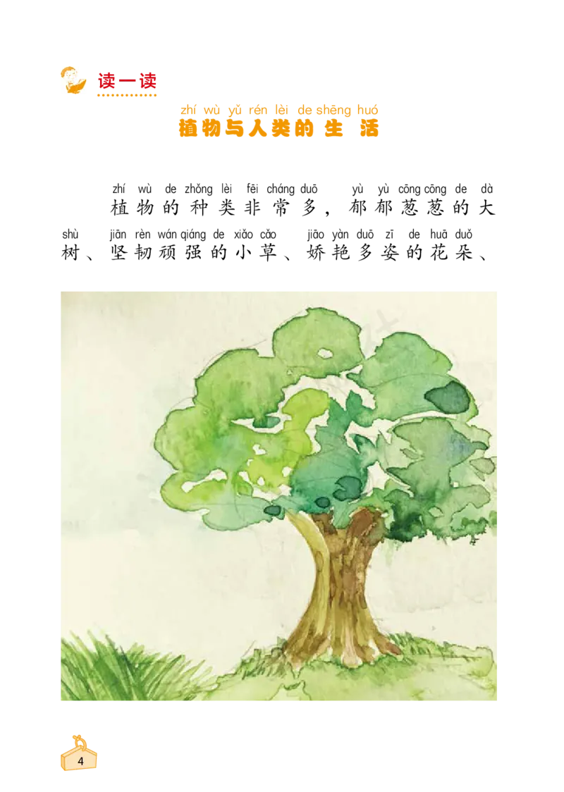 2022秋《知识与能力训练&middot;科学》一年级-内文_2024年人教版小学数学一二三四五六年级上册下册期中期末试a0747_小学全科《同步练习+精品试卷》打包下载（1-6年级单元月考期中期末试卷）