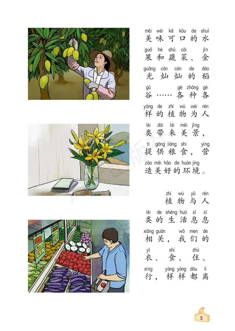 2022秋《知识与能力训练&middot;科学》一年级-内文_2024年人教版小学数学一二三四五六年级上册下册期中期末试a0747_小学全科《同步练习+精品试卷》打包下载（1-6年级单元月考期中期末试卷）