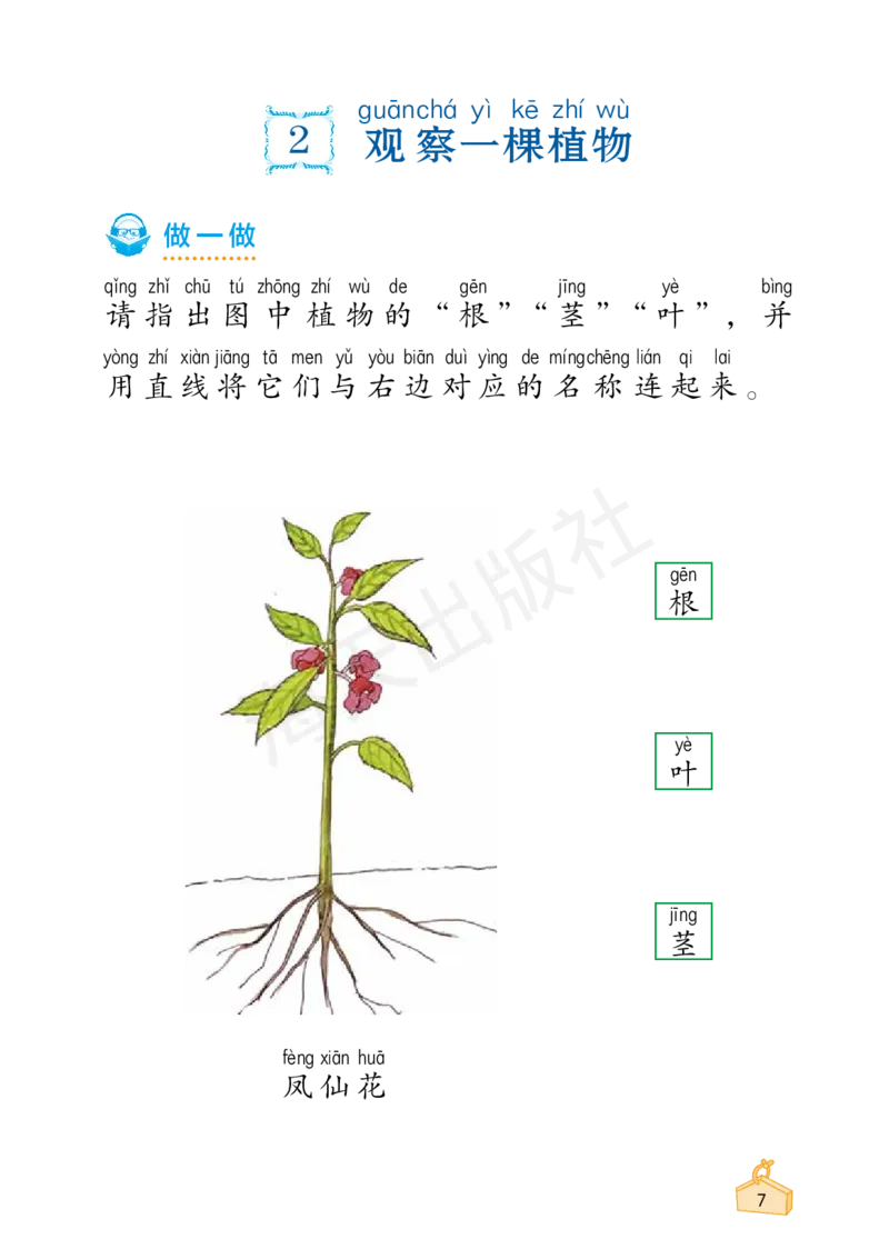 2022秋《知识与能力训练&middot;科学》一年级-内文_2024年人教版小学数学一二三四五六年级上册下册期中期末试a0747_小学全科《同步练习+精品试卷》打包下载（1-6年级单元月考期中期末试卷）