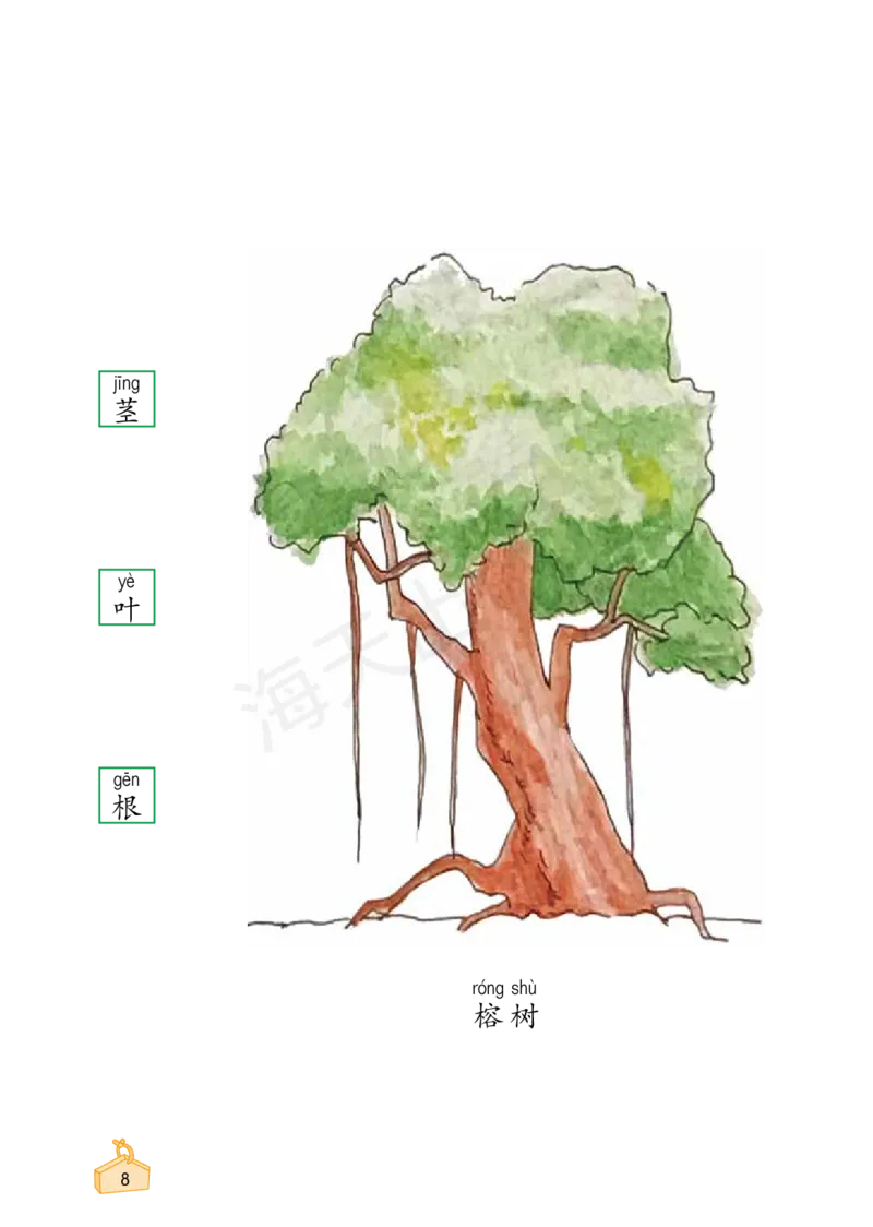 2022秋《知识与能力训练&middot;科学》一年级-内文_2024年人教版小学数学一二三四五六年级上册下册期中期末试a0747_小学全科《同步练习+精品试卷》打包下载（1-6年级单元月考期中期末试卷）