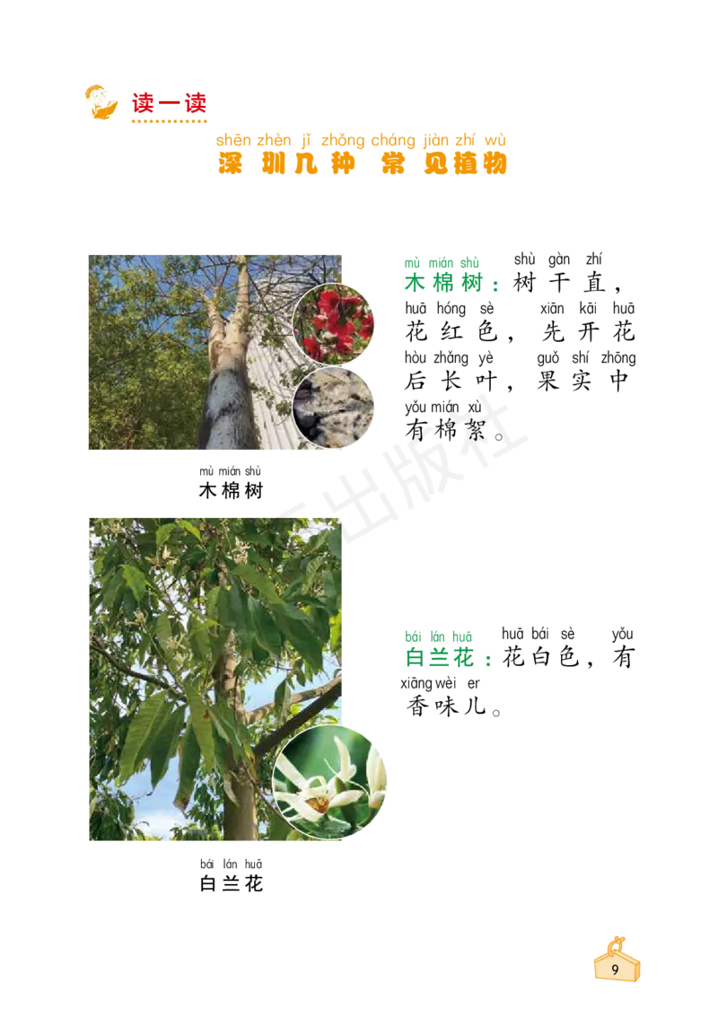 2022秋《知识与能力训练&middot;科学》一年级-内文_2024年人教版小学数学一二三四五六年级上册下册期中期末试a0747_小学全科《同步练习+精品试卷》打包下载（1-6年级单元月考期中期末试卷）