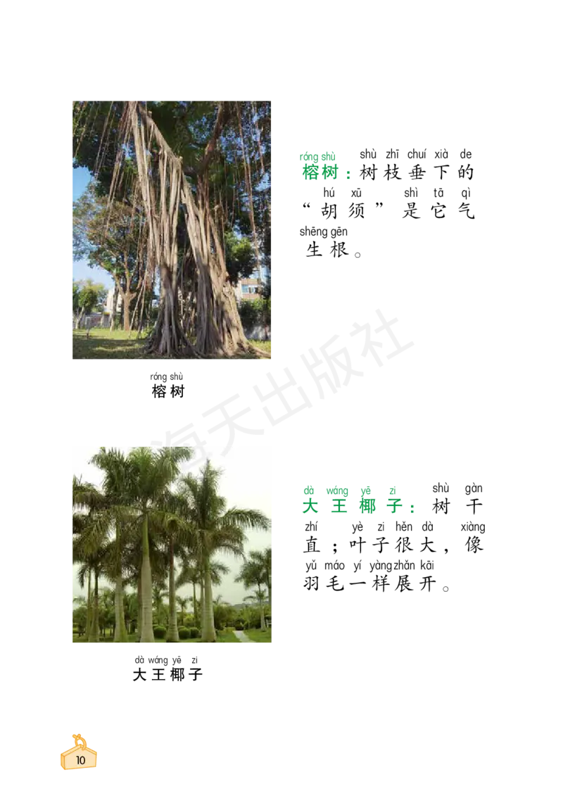 2022秋《知识与能力训练&middot;科学》一年级-内文_2024年人教版小学数学一二三四五六年级上册下册期中期末试a0747_小学全科《同步练习+精品试卷》打包下载（1-6年级单元月考期中期末试卷）