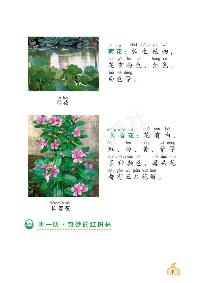 2022秋《知识与能力训练&middot;科学》一年级-内文_2024年人教版小学数学一二三四五六年级上册下册期中期末试a0747_小学全科《同步练习+精品试卷》打包下载（1-6年级单元月考期中期末试卷）