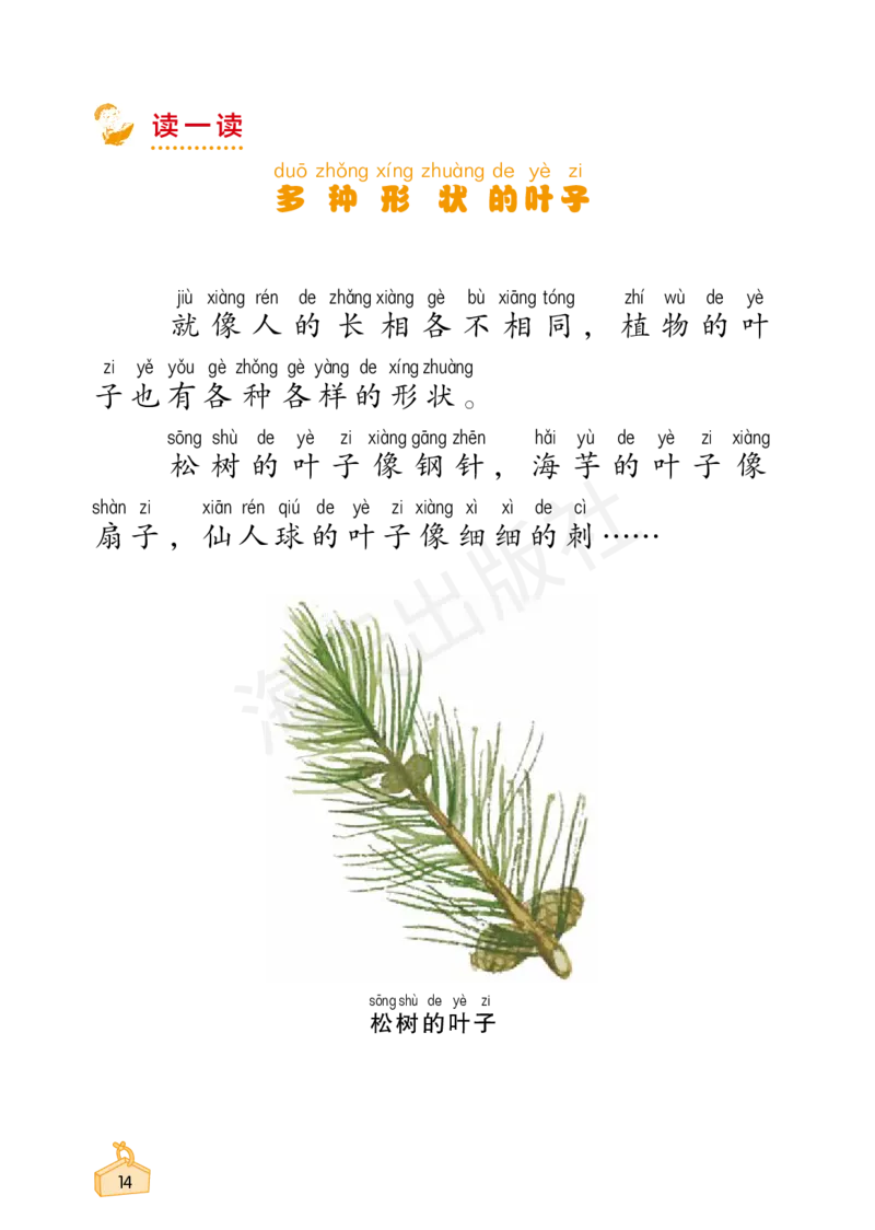 2022秋《知识与能力训练&middot;科学》一年级-内文_2024年人教版小学数学一二三四五六年级上册下册期中期末试a0747_小学全科《同步练习+精品试卷》打包下载（1-6年级单元月考期中期末试卷）