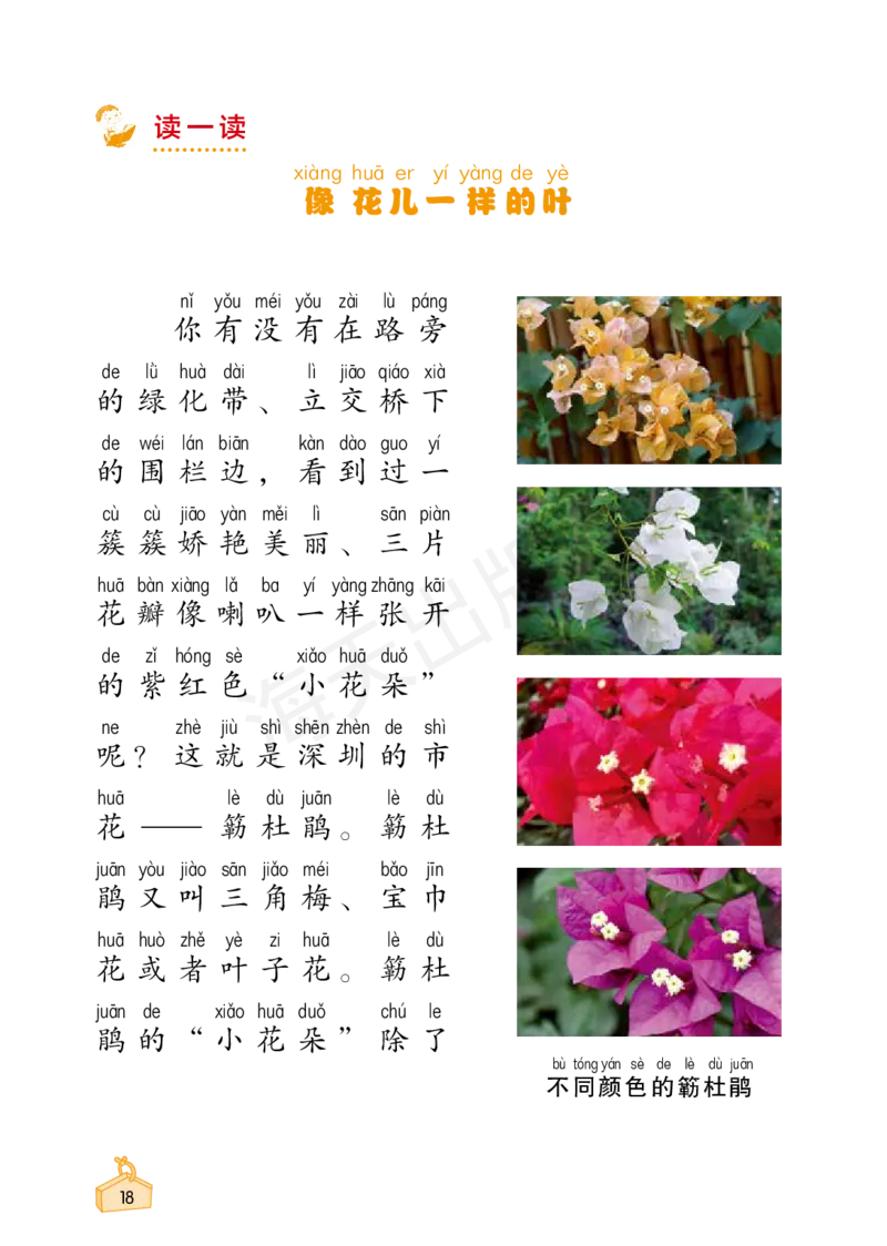 2022秋《知识与能力训练&middot;科学》一年级-内文_2024年人教版小学数学一二三四五六年级上册下册期中期末试a0747_小学全科《同步练习+精品试卷》打包下载（1-6年级单元月考期中期末试卷）